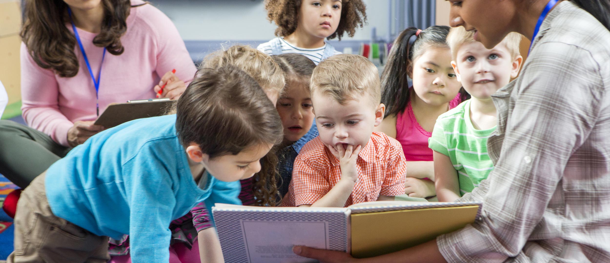 About The Director